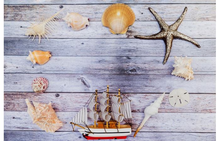 Land and Cruise Tours